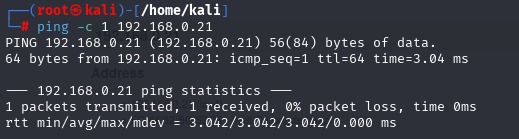 Successful ping test